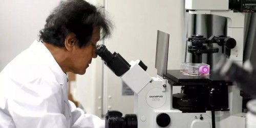 護膚領域新添猛將 馥茜美容護膚攜手日本護膚專家實力來襲